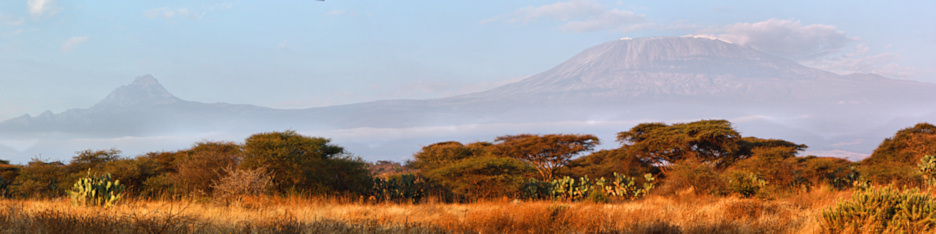KilamanjaroFromAmboseli_P4_1969_ Panorama_10_4x1.jpg